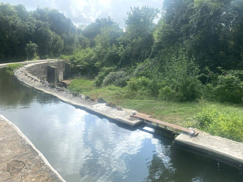 mission tour in San Antonio day